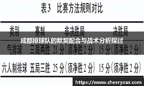 成都排球队的默契配合与战术分析探讨